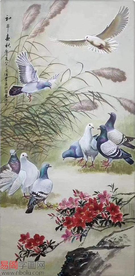 白鸽作品