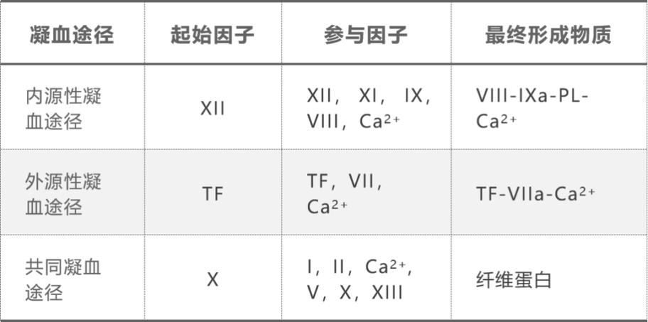 APTT TT PT各代表什么