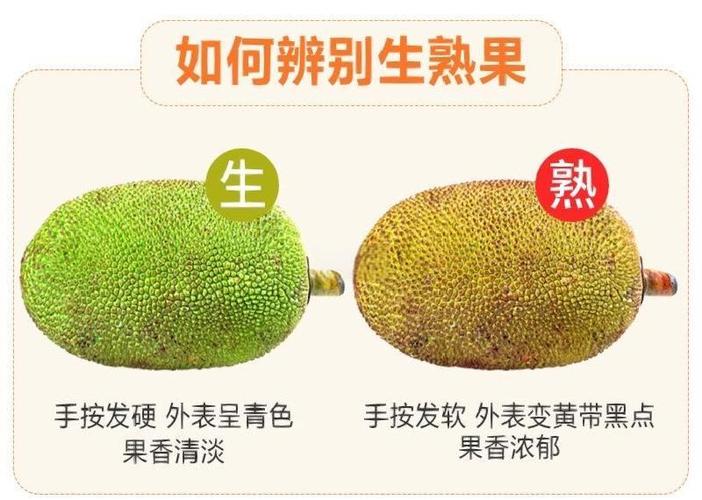 菠萝蜜放了15天还是没有熟缩略图