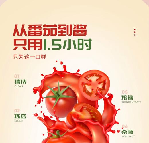 新疆番茄酱十大名牌图标