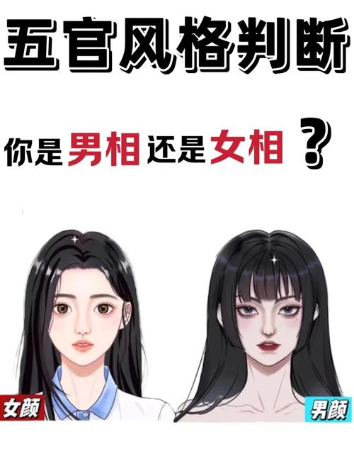 佳人是指男还是女