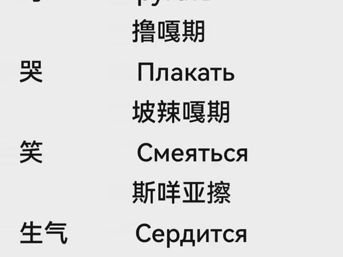 俄语脏话