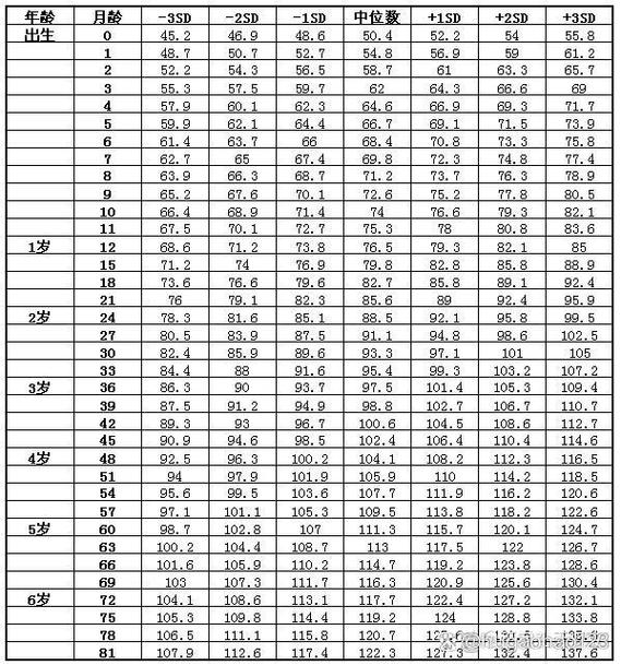 儿童穿33码脚大概有多长截图