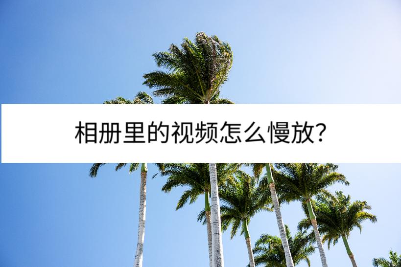 相册视频慢放图标