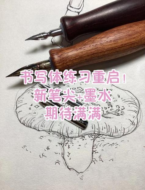 打印机换墨水后打印不出来