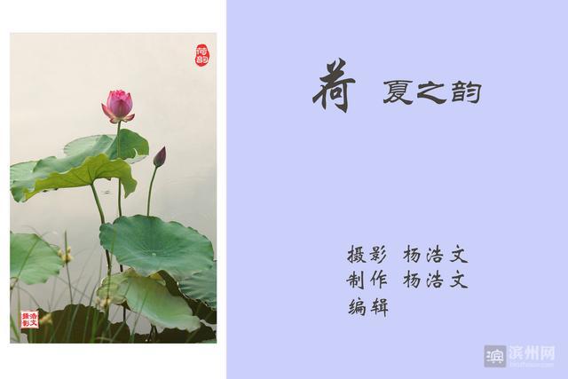 蝉鸣声的比喻