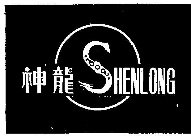 神龙代理
