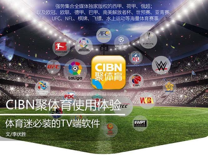 聚体育TV端没有搜索功能