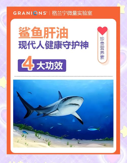 鲨鱼肝油的功效与作用