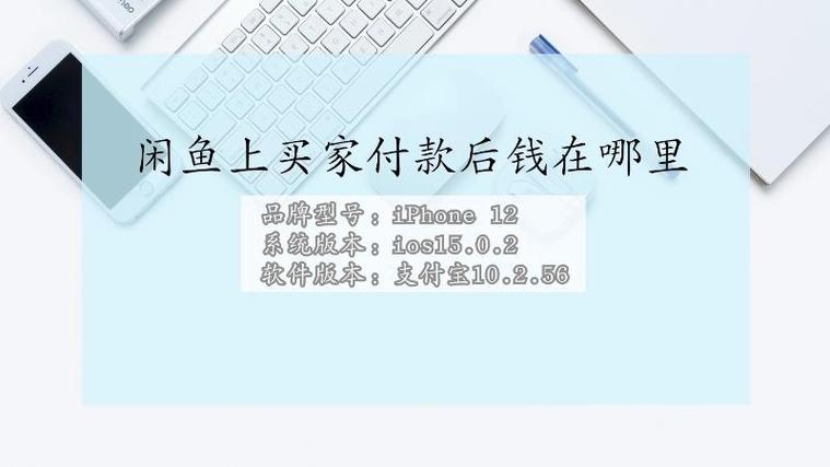 闲鱼买家显示已付款,钱在哪