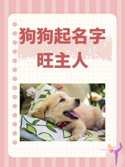 取狗名这样旺主人
