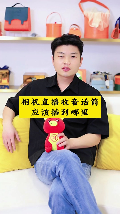 小米摄像头对话声音能调吗