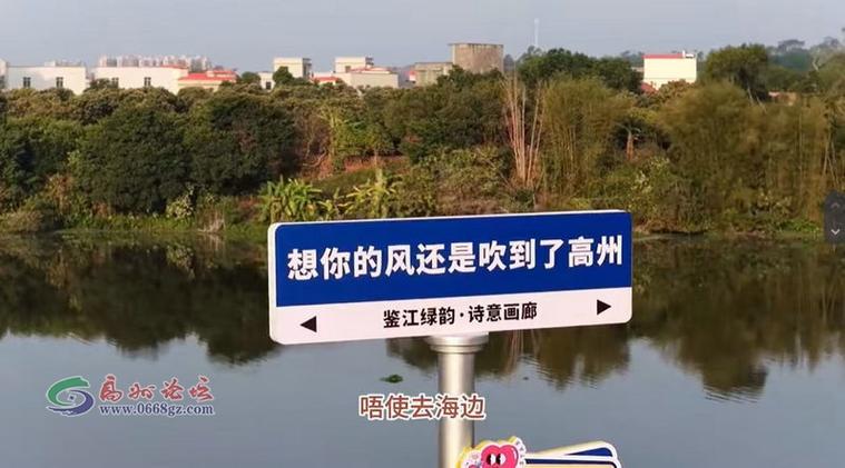 阳光论坛高州论坛