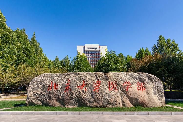 北大医学部官网