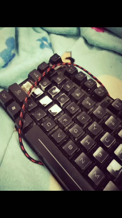 玩游戏一按wasd就打字图标