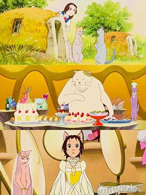 猫咪看的动画片