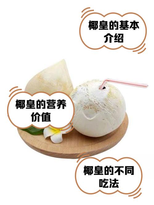 椰族会员截图