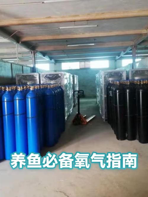 养金鱼要一直开氧气泵吗