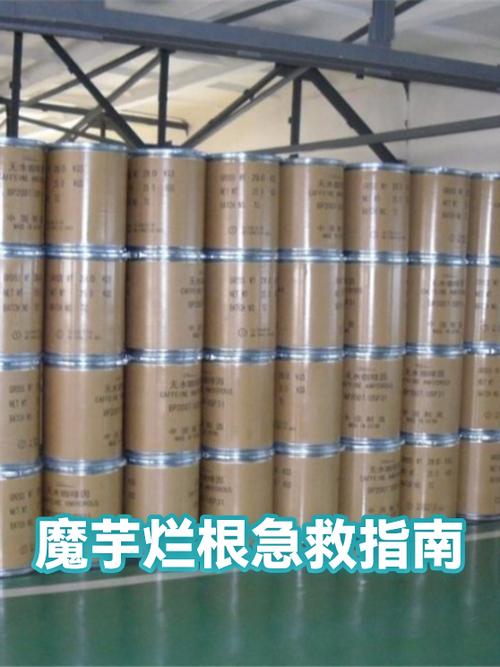 魔芋根腐病最有效的治疗方法
