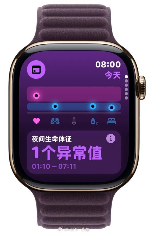 苹果手表心率不显示了