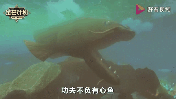 海底大猎杀三截图