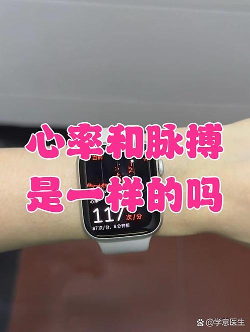 脉搏和心率是一样的吗