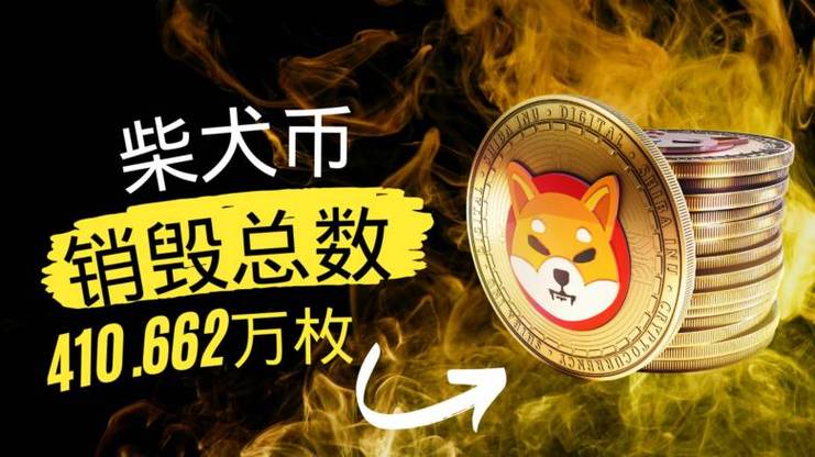 SHIB币销毁查询