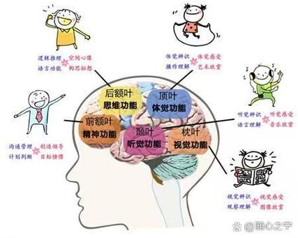 核聚全部课程免费