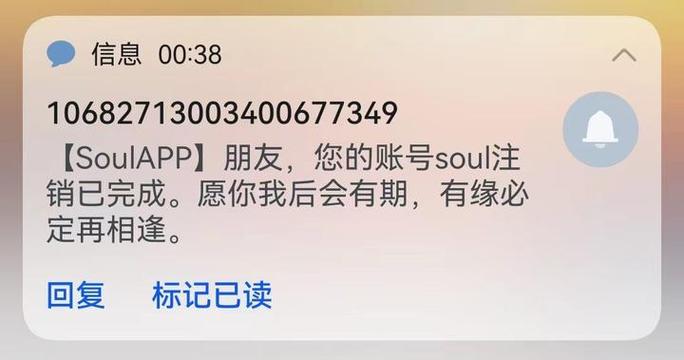 soul注销七天内对方显示什么图标