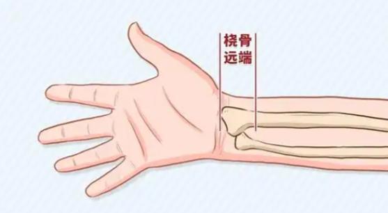 手腕上三指是哪个部位