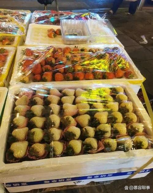 草莓叫卖最简单十句话