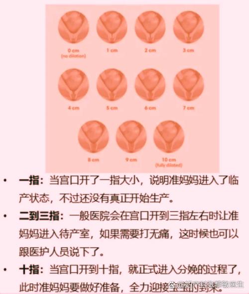宫口开一个指尖什么时候能生