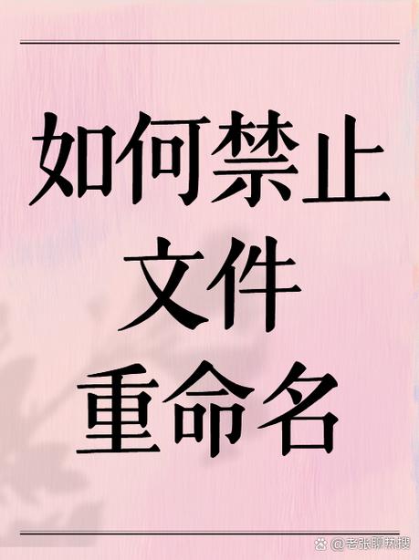 文件重命名不了怎么办