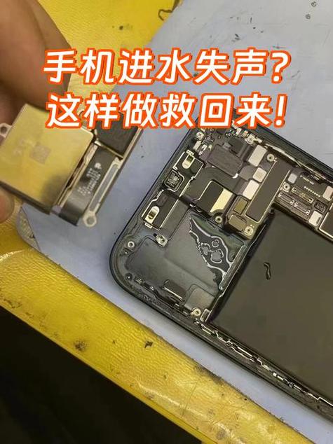 手机泡水没声音了咋办