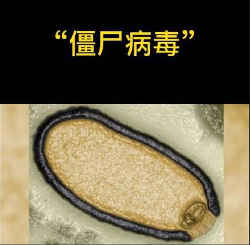 CH酷凡僵尸病毒(土豆)