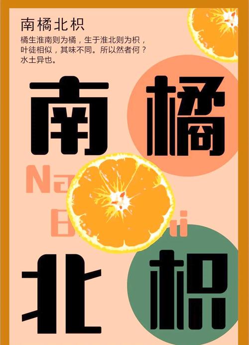 桔子爱情暗语是什么