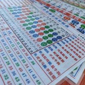 2019年生肖码表