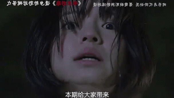 珍妮手机版(自带模组)下载