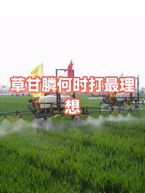 打一次草甘膦能管多久