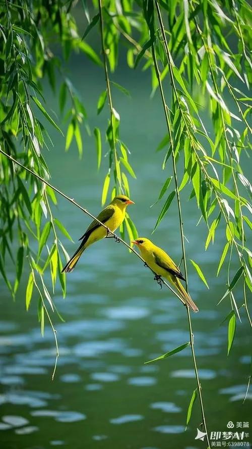 莺的叫声一个字形容