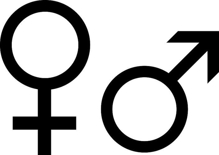 男符号女富豪