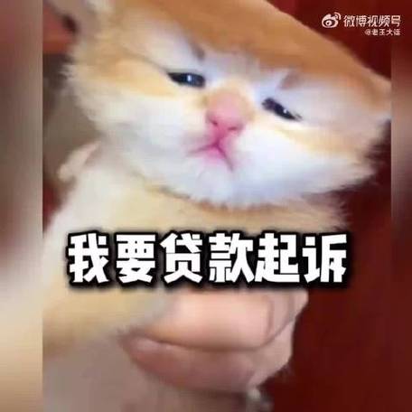 有谁用过有钱喵贷款