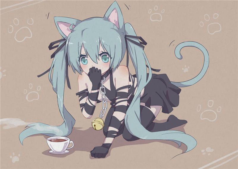 猫耳和B站的关系