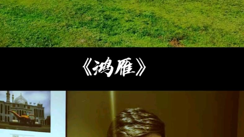 鸿雁陶笛12孔ac曲谱缩略图