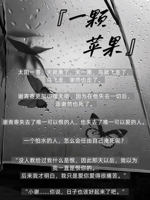 一颗苹果小说TXT百度网盘