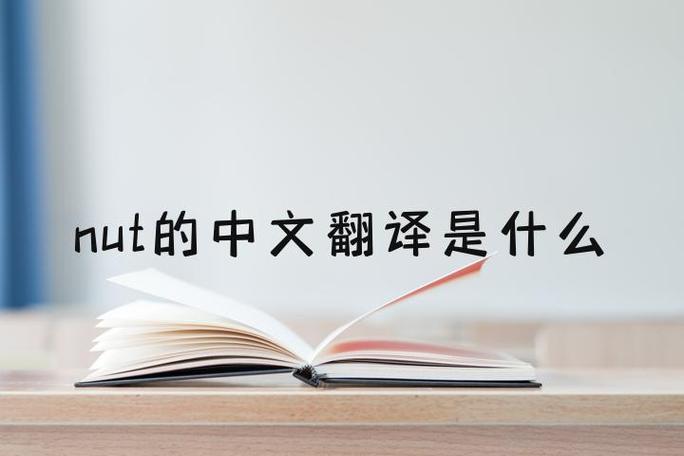 中文意思是什么用英语怎么说