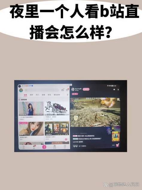 哔哩哔哩直播