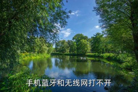 苹果手机蓝牙跟无线网打不开