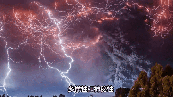 闪电specialized官网