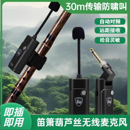 葫芦丝拾音器哪个牌子好缩略图